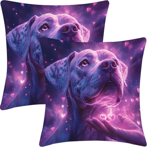 �r���[�h�N�b�V�����J�o�[ 2���Z�b�g, �\�t�@�N�b�V�����J�o�[, 55x55cm, �r���[�h�������J�o�[, �_�炩���ĐS�n�悢, �C���e���A�N�b�V����, �G�ߑ���������, �ԗp���z�c�J�o�[, �o�[ ��������, �����j�� �v���[���g, �����̑��蕨, ���̎q