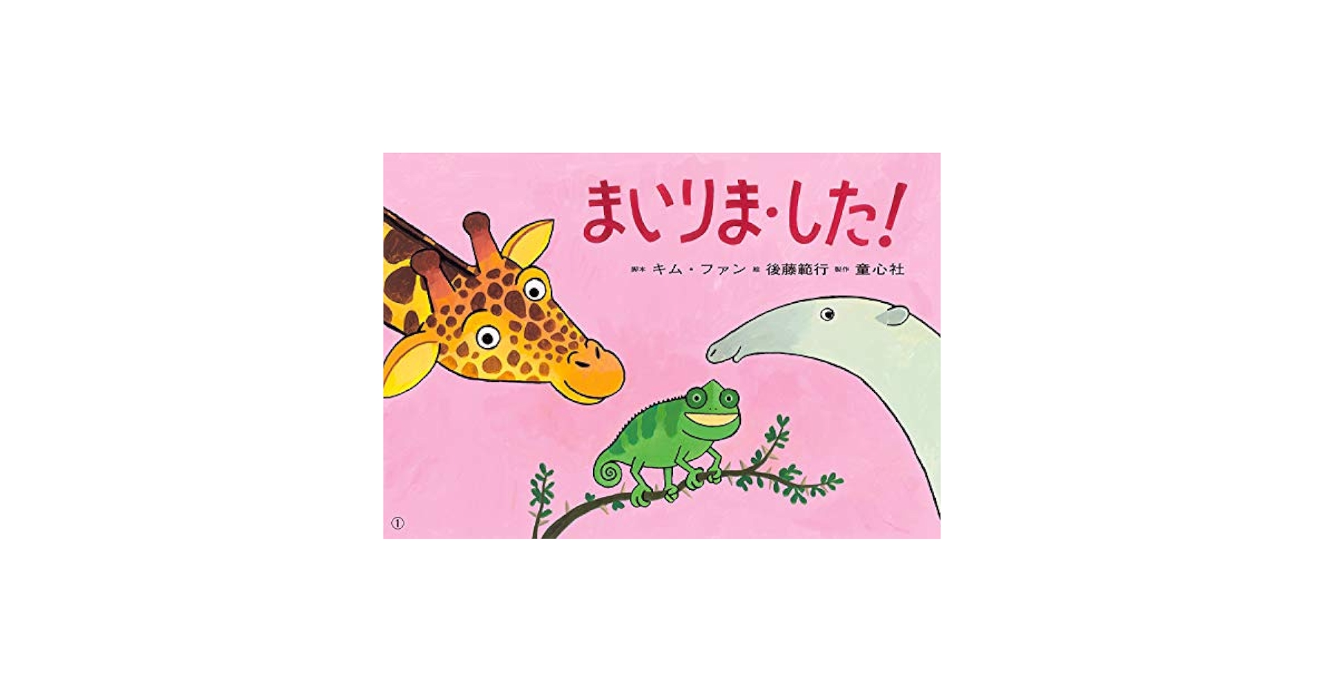 どうぶつの生態　紙芝居　まとめ売り どうぶつの生態 紙芝居 まとめ売り - メルカリ