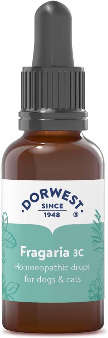 Dorwest Herbs Fragaria 3C Homoeopathic Liquid Remedy for Dogs & Cats - 15ml