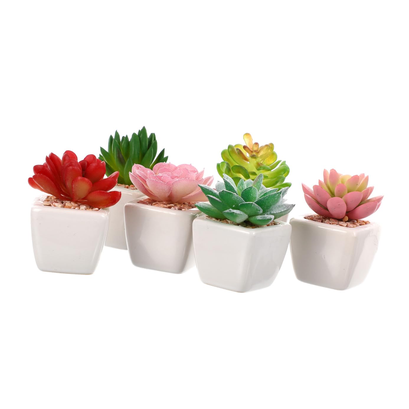 Plantes grasses artificielles pour petits espaces sombres et bureaux