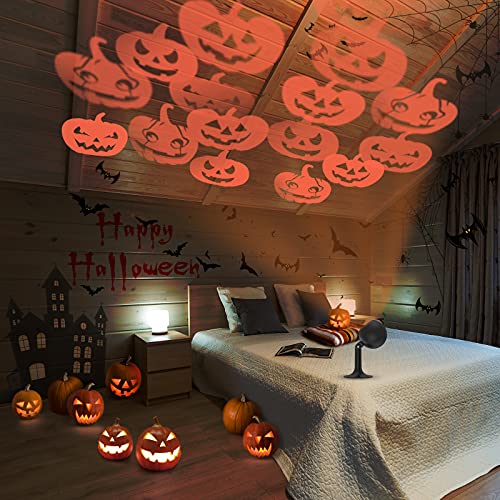 https://m.media-amazon.com/images/I/51DF9uldrsL._SL500_.jpg