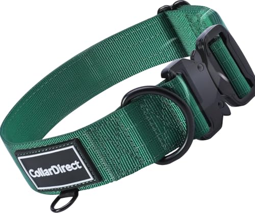 Image of Heavy Duty Waterproof Dog Collar, Double-Layered Nylon (Green, 15-23) | Adjustable heavy-duty collar for medium /large dogs; rugged double-layered nylon built to handle active, daily wear and tear