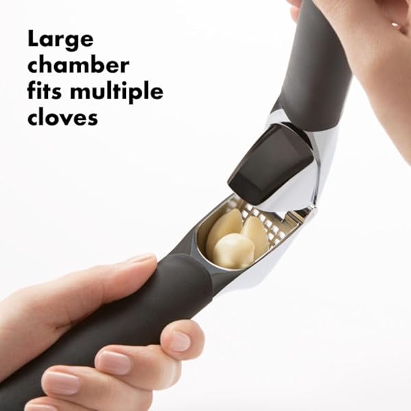 OXO Good Grips Heavy Duty Garlic Press