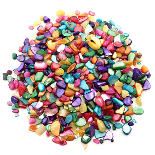 [GOLD STONE] キャンディカラー シェル 貝 さざれ 100g 小粒 染色 マルチカラー shell パワーストーン