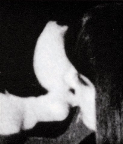 Preisvergleich Produktbild Helmut Newton: Frames from the Edge [VHS]