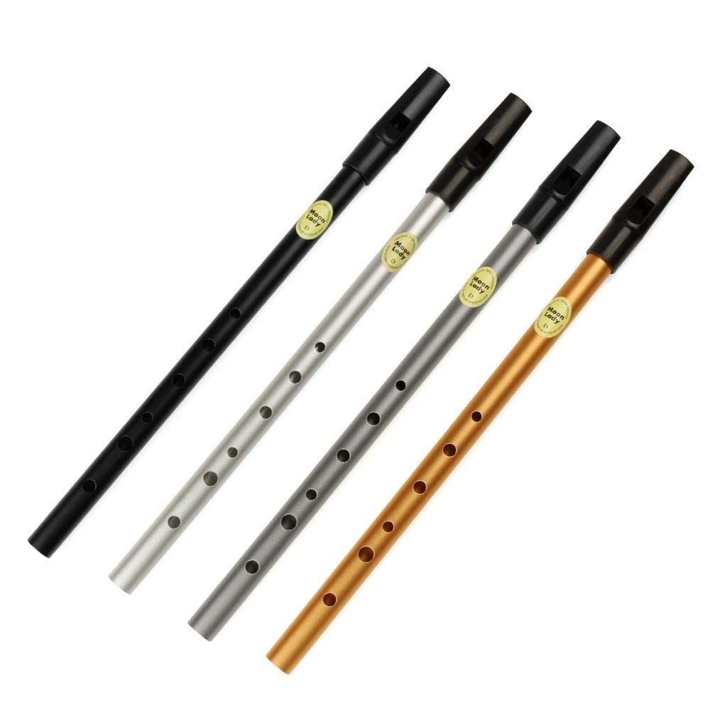 D-Schlüssel 6-Loch-Metallflöte Irish Tin Whistle Flute Irish Woodwind Mini Pocket Bamboo Whistle (Color : D Key Grey)