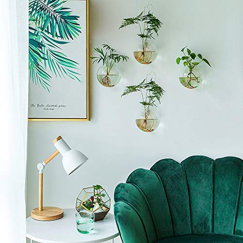 Nuptio 6 Pcs Wall Hanging Planters Glass Planter Terrariums Round Glass Plant Pot - Water Planting Vases Air Flower Vase Plant Terrariums Plant Container 4 Inches Diameter (6 Pcs) #TOP1