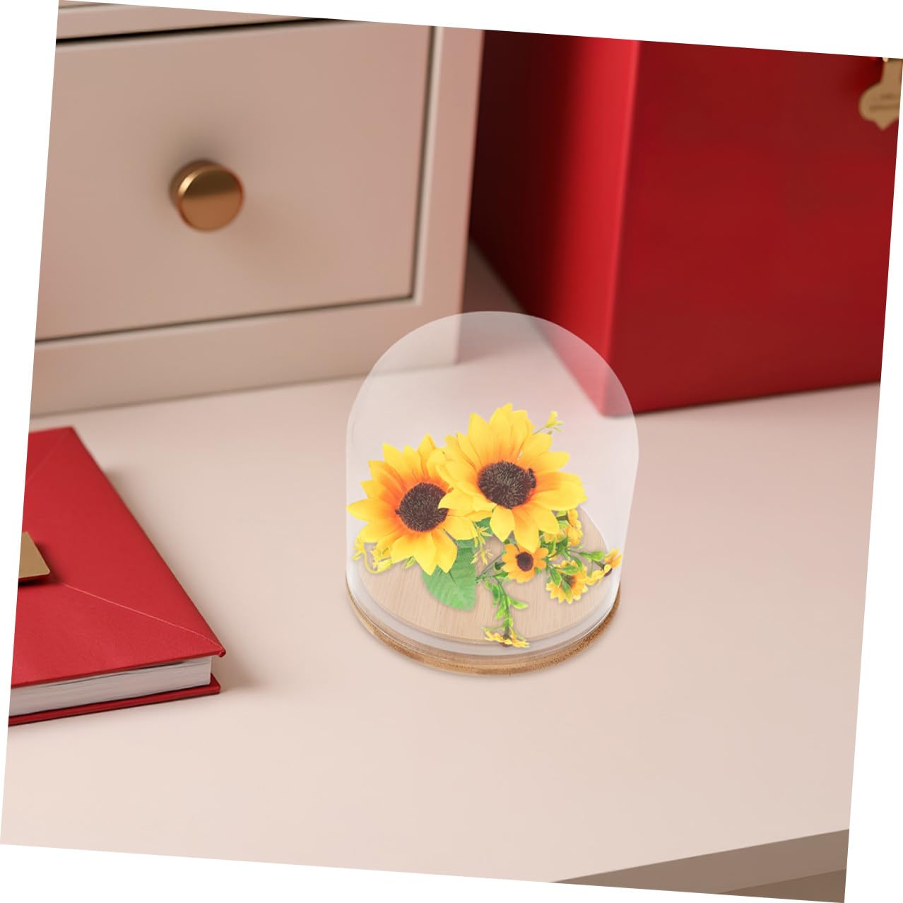 Cloche en verre avec cloche cylindrique en forme de fleur éternelle 15 x 15 cm avec base en bambou pour décoration d'intérieur et vitrine d'objets de collection