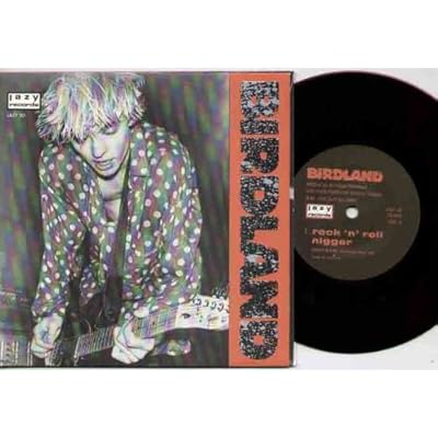 BIRDLAND - ROCK N ROLL NIGGER - 7 inch vinyl / 45