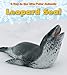 Leopard Seal (A Day in the Life: Polar Animals)