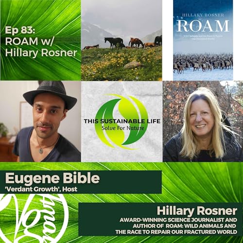 ROAM w/ Hillary Rosner