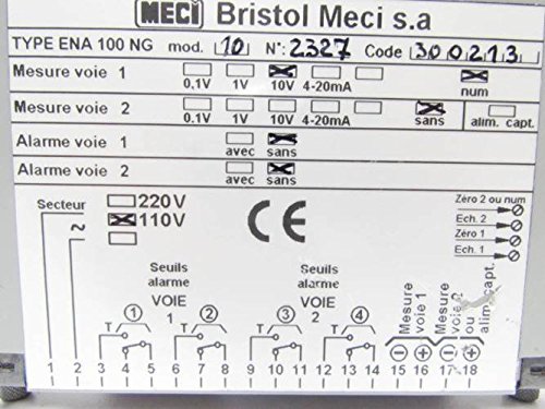 ENA100NG 2-Channel 10V Analog Display Alarm 110V