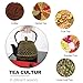 Cast Iron Tea Pot - Honeycomb Pattern Tea Kettle with Tea Leaf Infuser,Stovetop Tea Kettle Coated with Enameled Interior,Suitable for Brewing Loose Leaf Tea (Gold)