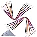 Wisdompro® 10pcs 22" Premium Polyester Neck Lanyard with J-Hook & Detachable Buckle For Phone, iPod, USB, Key, ID Name Tag Badge Holder & other Portable Stuff -Red /Black /Blue /Orange /Purple