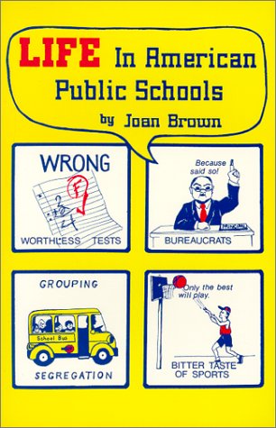 Life in American Public Schools 0970011806 Book Cover