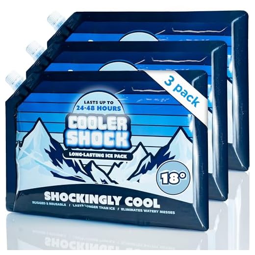 Cooler Shock Reusable Ice Packs for Cooler - 3 Ice Packs for Coolers - Long-Lasting Cold Freezer Packs for Lunch Boxes - Cooler Accessories for School, Beach & Fishing - Camping Gifts