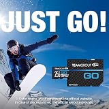 TEAMGROUP Karta GO, 128 GB, 10 sztuk Micro SDXC UHS-I U3 V30 4K do GoPro, drona i kamer akcji, szybka karta pamięci flash z adapterem do sportów na świeżym powietrzu, fotografowania 4K, Nintendo