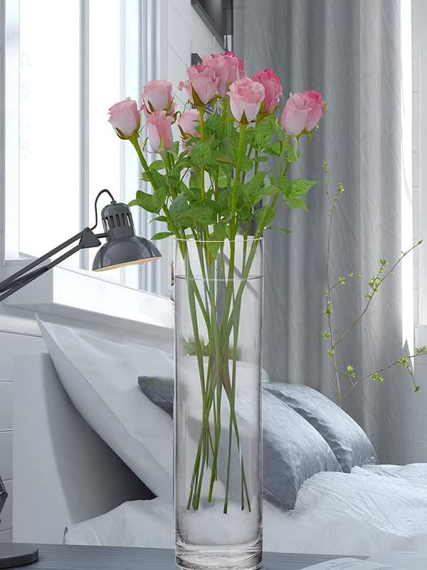 Glass vase Cylindrical Glass Vase (8 X 29 Cm, Clear) (B0CGDVKGPB) Amazon Price History, Amazon Price Tracker