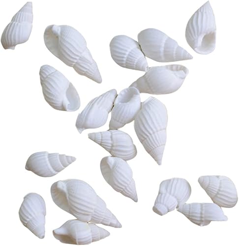 Inicio Accesorios Adornos para decoración de flores 100 piezas Decoración de mesa de boda Conchas marinas a granel Conchas marinas naturales