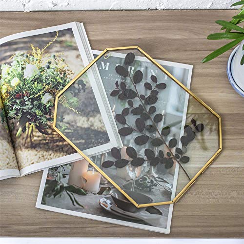 Ncyp Brass Hanging Photo Frame, Double Glass Wall Decor Hanging 8X10 Inches Octagon Herbarium For Pressed Dried Flowers Plant Specimen Poster, Gold Clear Floating Frame Style, Glass Frame Only #TOP2