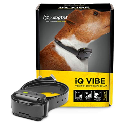 Dogtra iQ Vibe Vibration Only No Bark Collar: 4X Stronger HPP Vibration, IPX9K Waterproof, Precision Sensor, Rechargeable