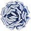 Periwinkle