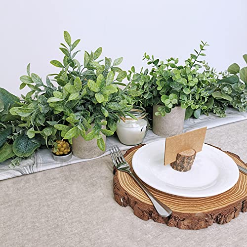 Winlyn Set Of 2 Faux Mini Potted Plants Artificial Eucalyptus Boxwood Plants In Pots Fake Greenery Arrangement For Rustic Farmhouse Indoor Table Centerpiece Mantel Shelf Kitchen Office Desk Decor #TOP2
