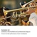 Trumpet Mouthpiece 3C Brass Material Gilded Mouthpiece Holder for Beginners and Professional Players Trumpet Accessories Chamber Music Ensemble Concerts 1PC