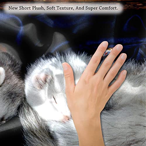 Tbouobt Lumbar Pillow Covers, Sofa Throw Pillow Cover, Decorative Pillow Case, Animal Three Minks #TOP2