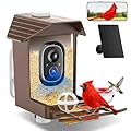 Bird Feeder with Camera Solar Powered, AI Identify 10K+ Species, Instant Notification, 2K HD Video Live Stream Camera, 2.4GHz WiFi Only, Festival Gift for Mom, Dad, Men, Women, Children, Bird Lovers