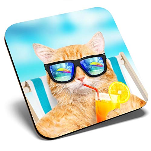 Destination Vinyl Ltd Multicolor Great Single Coaster Square - Funny Ginger Cat Sunbathing |Glossy Quality Coasters | Tabletop Protection For Any Table Type #14582