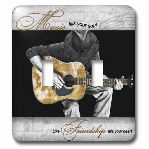 Interrupteur guitare âme 3dRose double pour remplacer une plaque murale terne