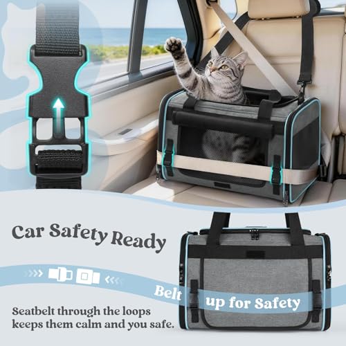rabbitgoo Cat Carrier Soft with Rollable Flap, Travel Safe for Car Airline | Comfortable for Anxious Kittens, Collapsible Portable Carrying Bag, Small Medium Cats, Escape Proof, Grey, 17"Lx11"Wx11"H - Image 6