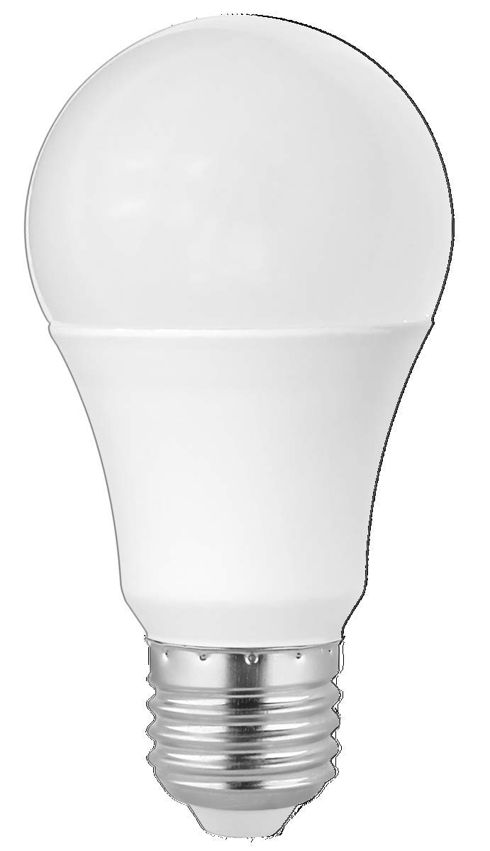 RR Global Lighting Energy Saving LED Bulb 9W / 12W, E27 Base, 90-100 Lumen/per Watts, Soft Light with NO UV/Mercury/Lead | Suitable for Home Office, (Daylight (6500K), 12W - E27 Base)