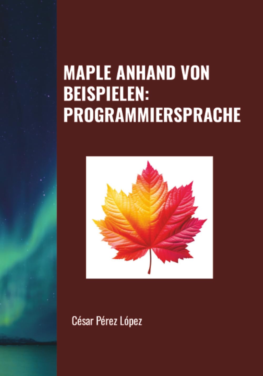 MAPLE ANHAND VON BEISPIELEN: PROGRAMMIERSPRACHE