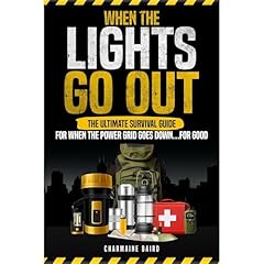 When The Lights Go Out Audiobook By Charmaine Baird cover art
