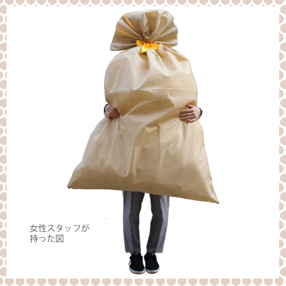 【値下げしました！】リボン付きプレゼント小袋（クリア+不織布平袋） 値下げしました！】リボン付きプレゼント小袋（クリア+不織布平袋）