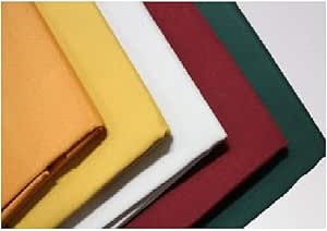 Imbottitura Cuscini 70x70cm Euroricami - Fibra Poliestere Anallergica, Antiacaro, Per Divano/Letto