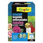Flower Enfermedades DE LOS Rosales