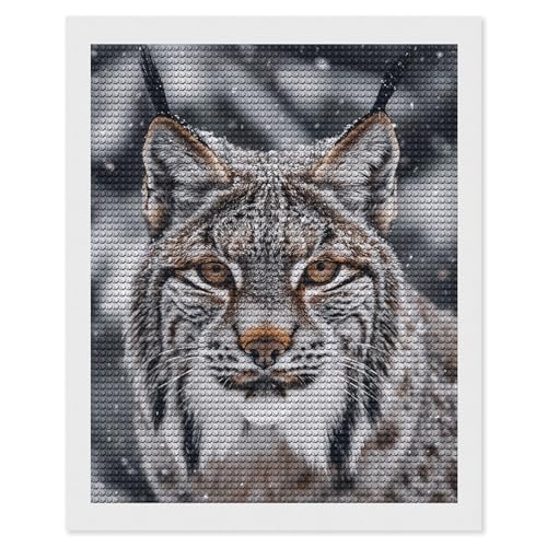 Peinture diamant 5D Lynx maccbn anti stress pour adultes débutants
