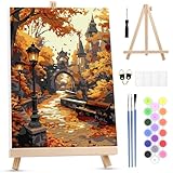 MXJSUA Pintar por Numeros Adultos con Marco, 20x30cm