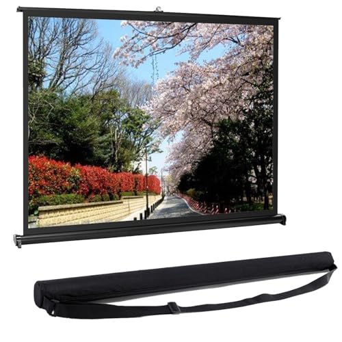 Pantalla manual portátil para proyector de 50 pulgadas miniatura 1
