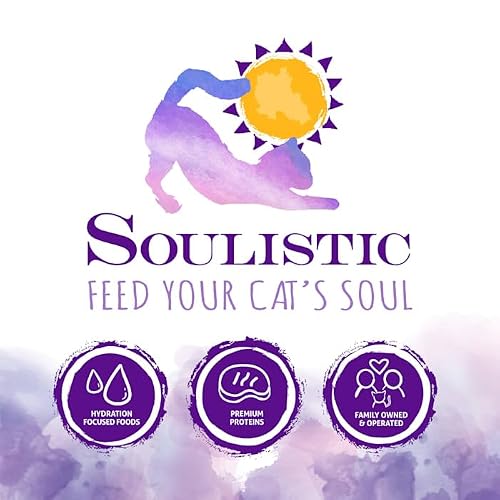 Soulistic Moist & Tender Lamb Dinner In Gravy Wet Cat Food, 3 Oz., Case Of 12 #TOP6