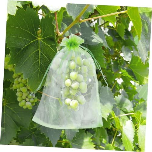 Review de Antiplagas natural jardin los mejores 10. 13 Imagen adicional