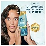 Head & Shoulders DERMAXPRO Beruhigendes Anti-Schuppen Shampoo 2x250 ml Kopfhautpflege bei trockener, juckender Kopfhaut (verbunden mit Schuppen) – Mit Kaktus-Extrakt, aktiver Aloe & Vitamin E