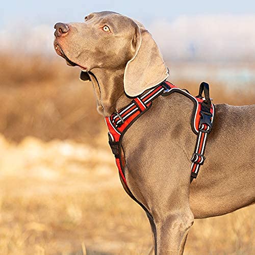 Foto 4 de 4 de WINHYEPET True Love Arnés para Perros sin tirones Arnés para Mascotas Extra Reflectante para Perros pequeños