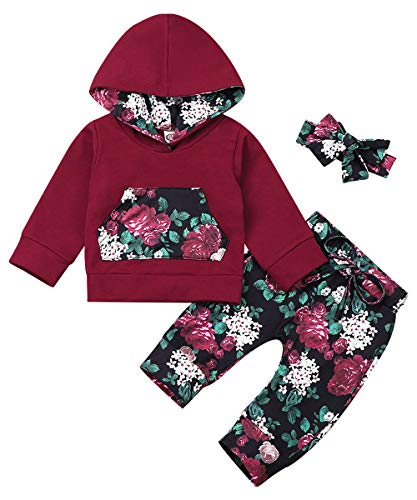 Toddler Girl Clothes Infant Baby Girl Clothes Hoodie Tops Newborn Baby Girl Outfits (Wine Red, 12-18 Months)