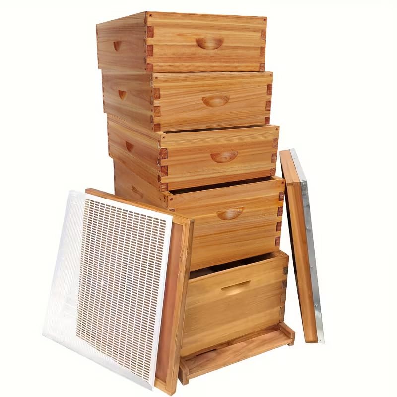 10 Frame 5-Layer Langstroth Beehive 100% Beeswax Coated Bee Hive Includes 2 Deep Brood Bee Hives Box 3 Medium Super Bee Box (No Frame)