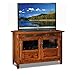 Leick Home 89046 Rustic Oak TV Stand with Enclosed Storage For 50