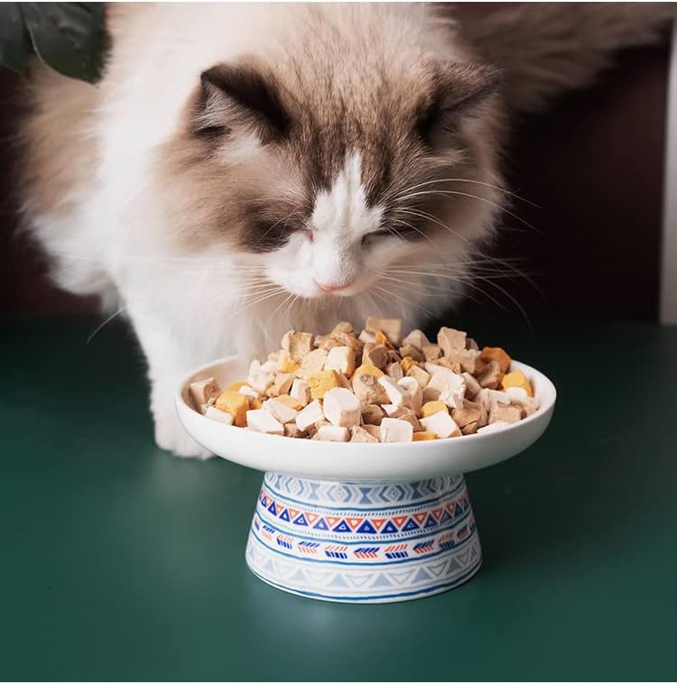 Miniatura 4 de TRUNDISAN Whisker Fatigue - Cuencos elevados para gatos, antivómitos, extra anchos y poco profundos, platos de cerámica para gatos sin estrés, para